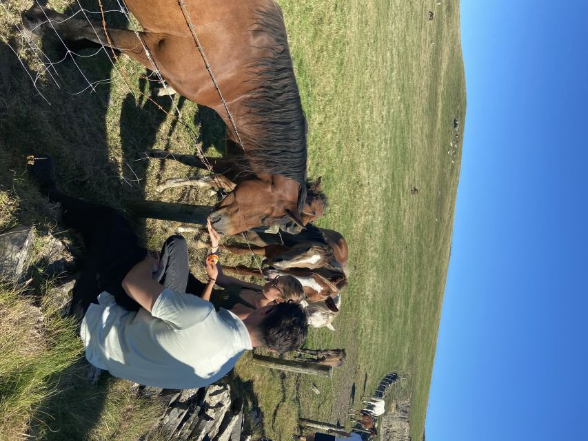 From Doolin: Cliffs of Moher Guided Coastal Walk