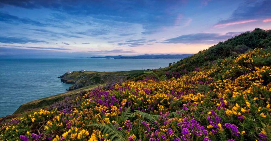 From Dublin: Half-Day Guided Coastal Tour to Howth Village - Good To Know