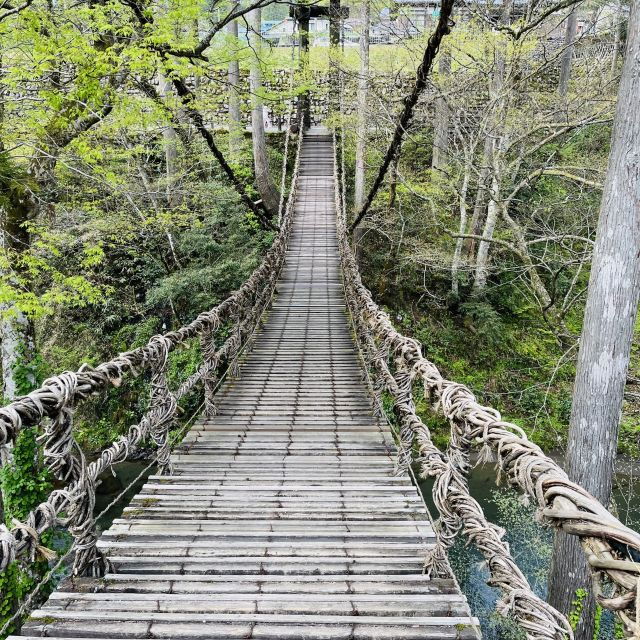 From Echizen With Monk:Private Countryside Tour - Good To Know