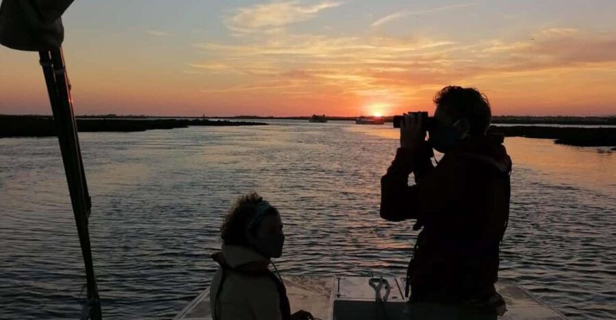 From Faro: Ria Formosa Sunset Boat Trip