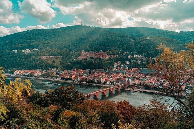 From Frankfurt: Heidelberg Castle and City Private Day Tour - Good To Know