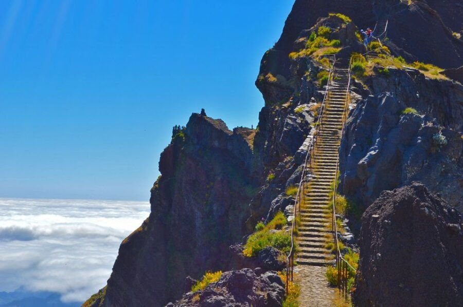 From Funchal: Madeira Peaks Mountain Walk - Good To Know