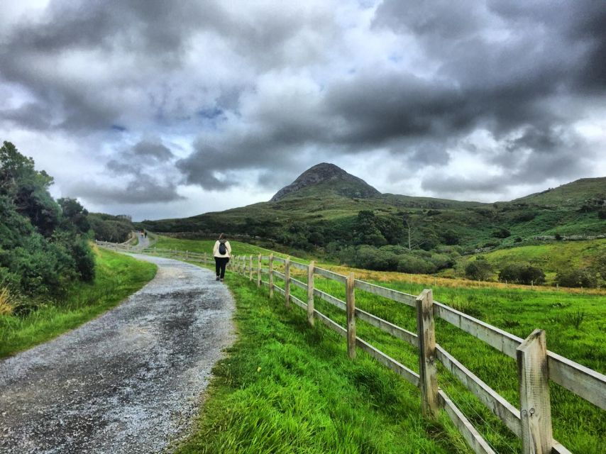 From Galway: Connemara and Connemara National Park Day Tour