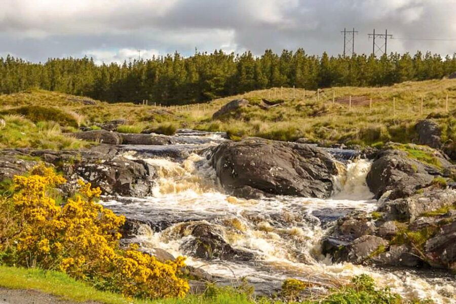 From Galway: Connemara & Kylemore Abbey Full-Day Guided Tour