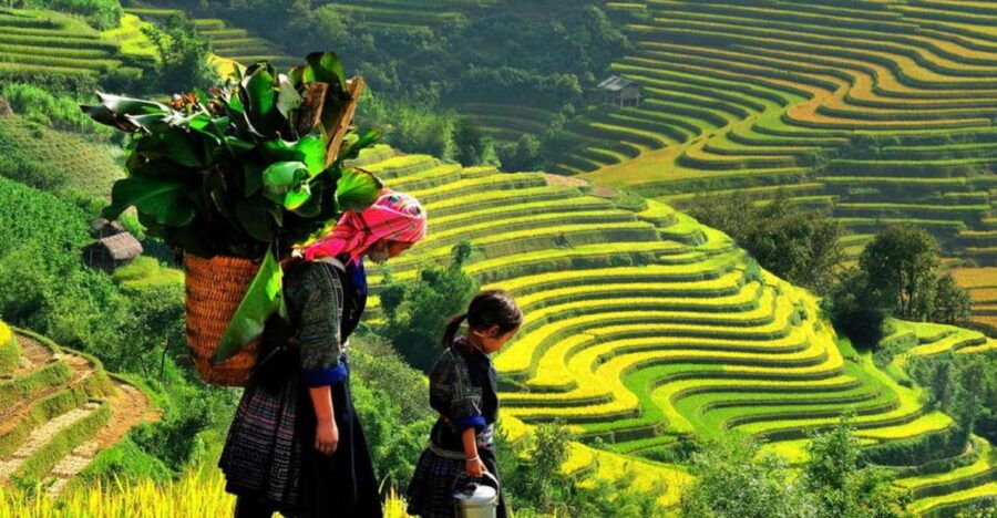 From Hanoi: 2-Day 2-Night Sapa Tour by Overnight Train - Good To Know