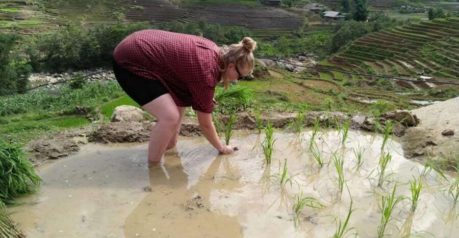 From Hanoi : 3-Day Homestay Trekking in Tour Sa Pa - Good To Know