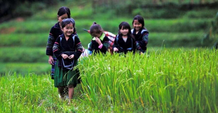 From Hanoi: 3-Day Sapa Trek With Guide, Homestay and Meals - Good To Know