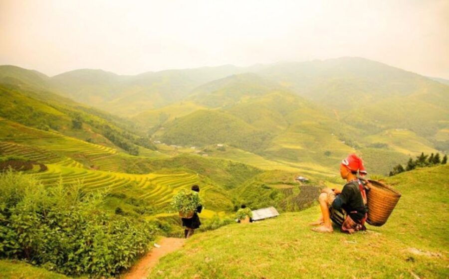 From Hanoi: 5-Day Northern Sapa, Ninh Binh & Halong Bay Tour - Good To Know