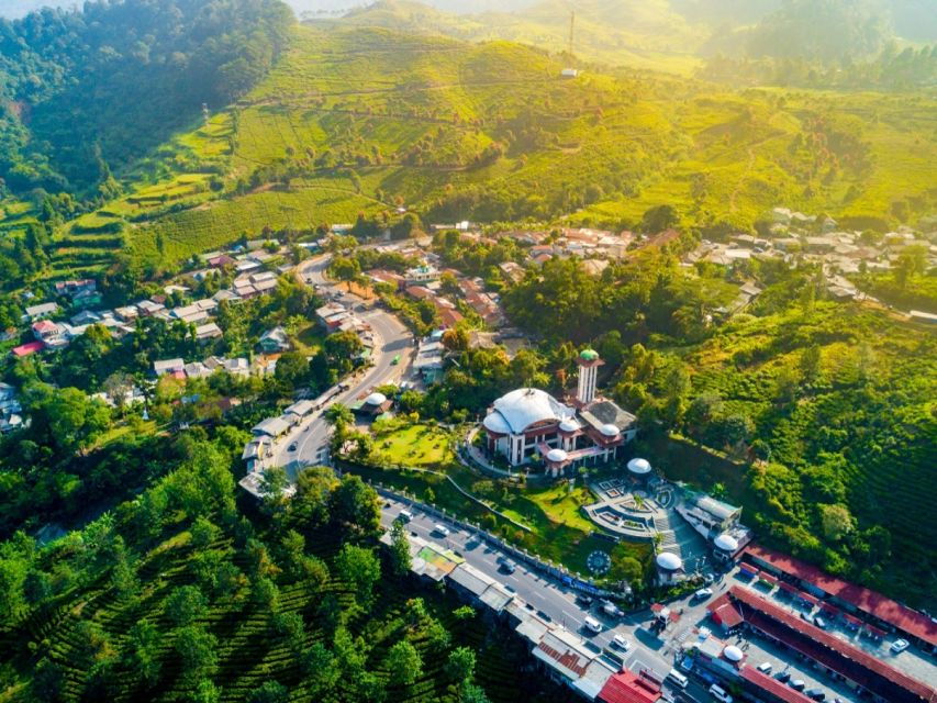 From Jakarta: Safari Park, Tea Plantation & Jaksa Waterfall