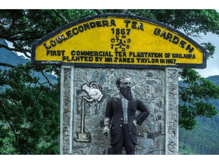 From Kandy: James Taylor's Tea Plantation Tour - Good To Know