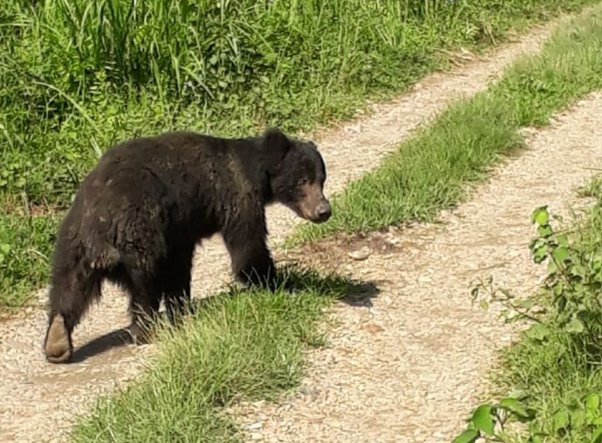 From Kathmandu: 2 Nights 3 Days Complete Chitwan Package - Good To Know