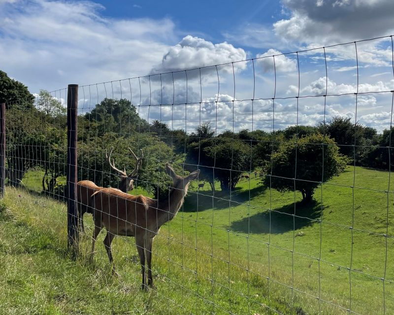 From Kemble: Full-Day Private Tour of the Cotswolds