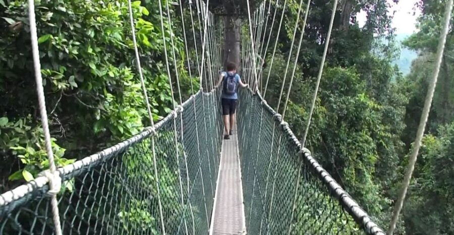 From Kuala Lumpur: Full Day Tour to Taman Negara - Good To Know