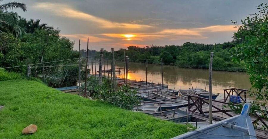 From Kuala Lumpur: Kuala Selangor Fireflies Tour With Dinner - Good To Know