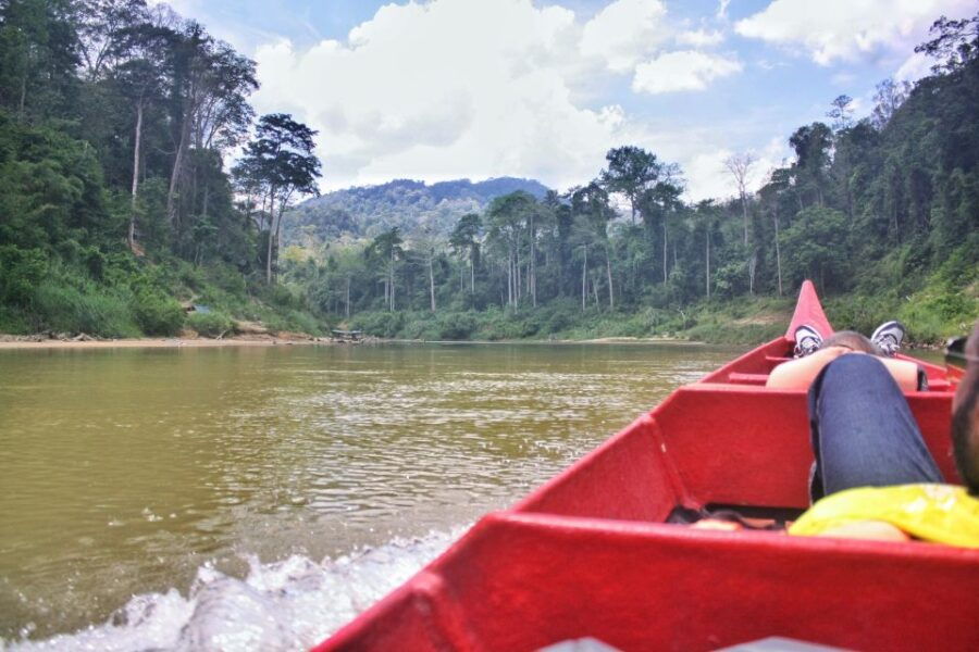 From Kuala Lumpur: Taman Negara National Park Day Tour