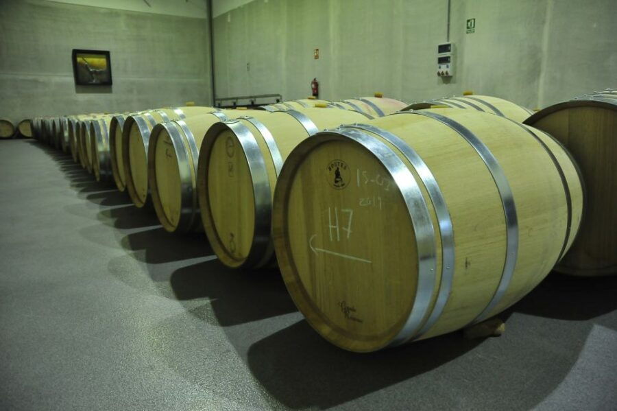 From Madrid: Ribera Del Duero Tour of 3 Different Wineries - Good To Know