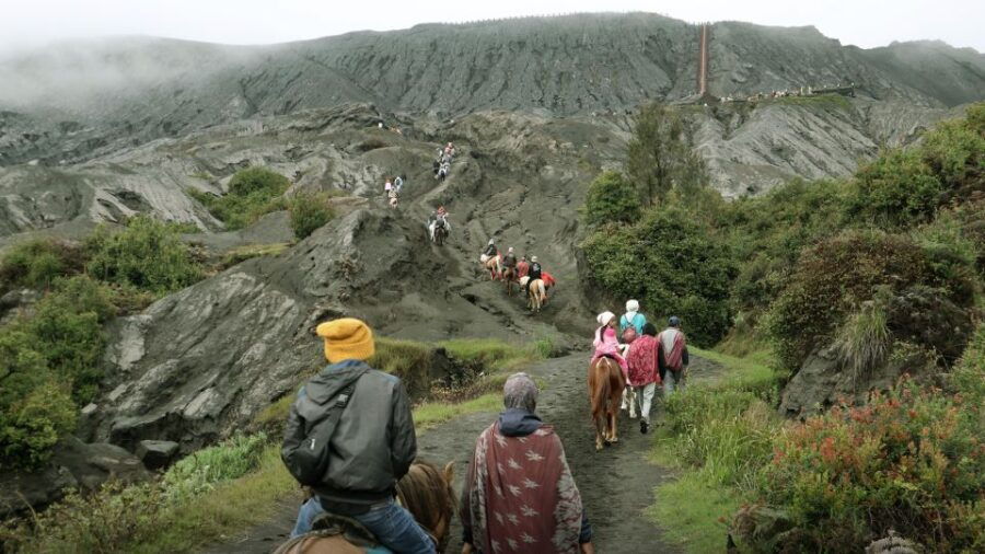 From Malang: Ultimate Mount Bromo National Park Sunrise Tour - Good To Know
