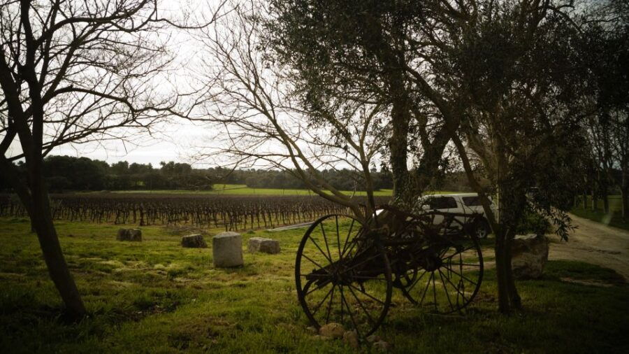 From Marseille: Customizable Private Day Tour of Provence - Good To Know