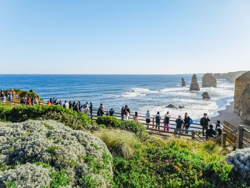 From Melbourne: Great Ocean Road and Wildlife Tour - Good To Know