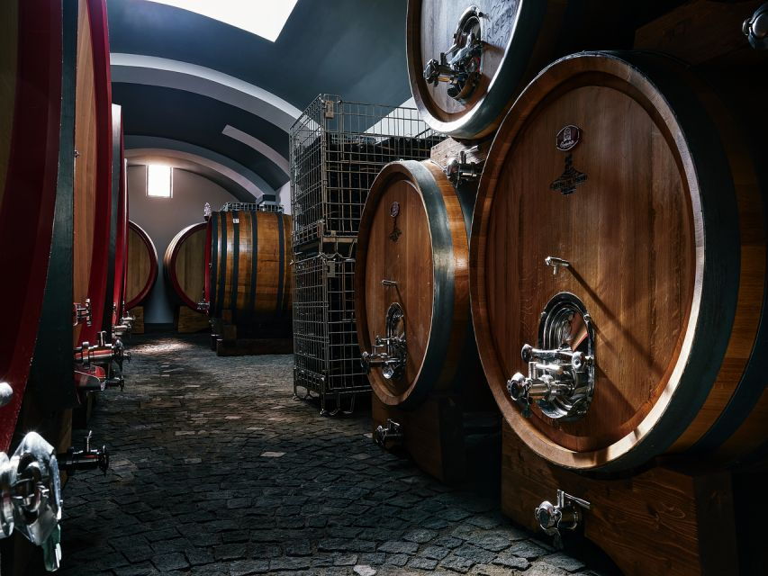 From Naples: Wine Tasting Tour on Vesuvius Volcano - Good To Know