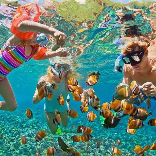 From Nusa Penida: Snorkeling With Manta Rays