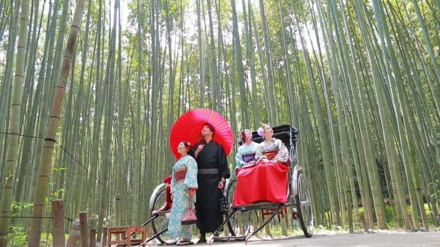 From Osaka: Guided Day Trip to Kyoto and Nara - Good To Know