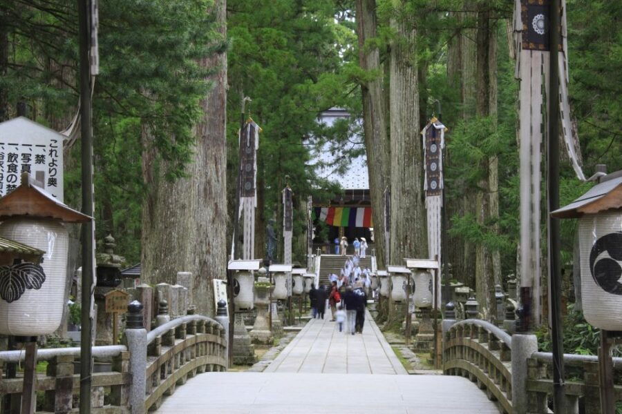 From Osaka: Mt. Koya Private Walking and Train Tour - Good To Know