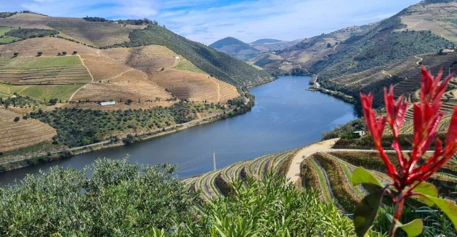 From Peso Da Régua: Visit 3 Wineries, Tasting and Viewpoint - Good To Know