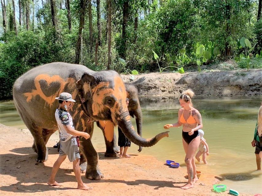 From Phuket: Elephant & Sea Turtle Conservation Private Tour