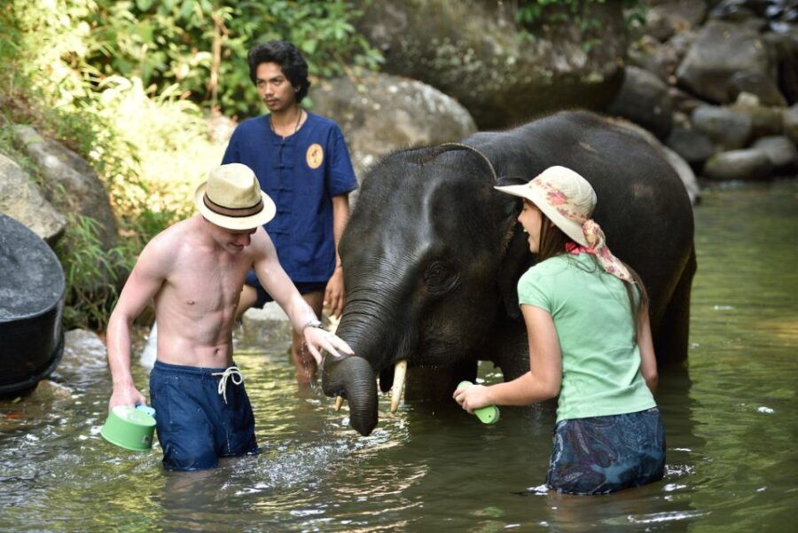 From Phuket/Khao Lak: Elephant Care Experience With Rafting - Good To Know