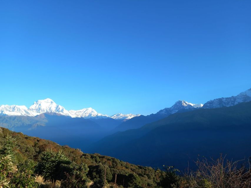 From Pokhara: 2-Day Trek to Australian Camp via Dhampus - Good To Know