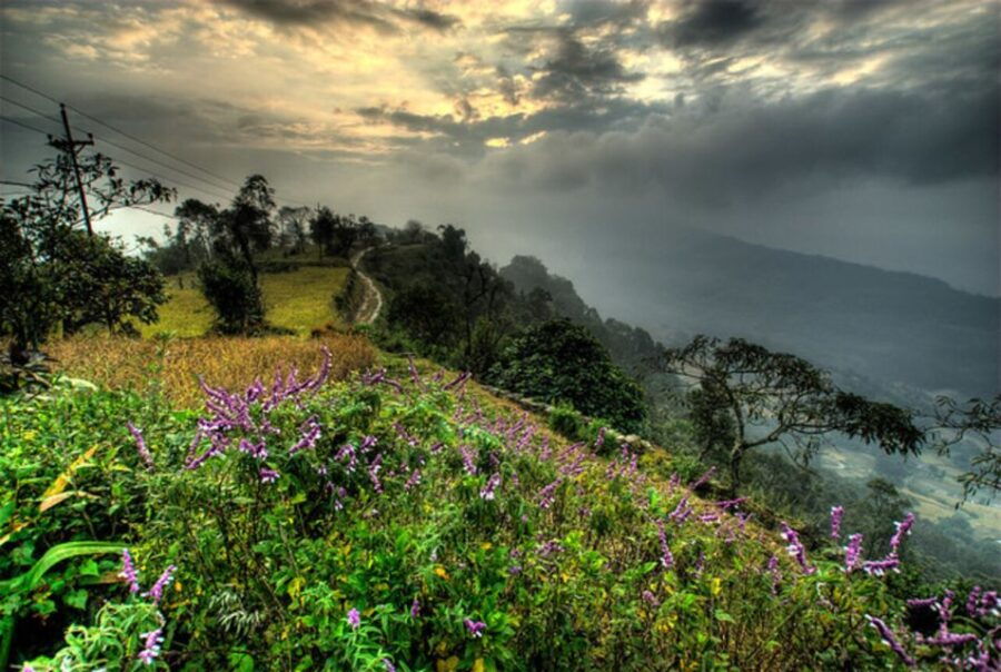 From Pokhara: 3-Day Dhampus-Sarangkot Trek