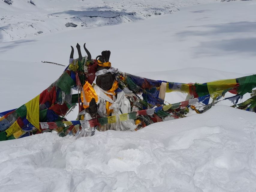 From Pokhara : Budget 6 Night 7 Day Annapurna Basecamp Trek - Good To Know