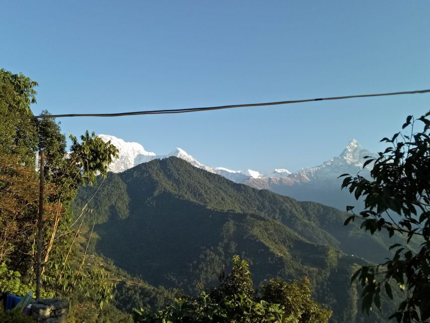 From Pokhara: Short Trek 1 Night 2 Days Dhampus Trek - Good To Know