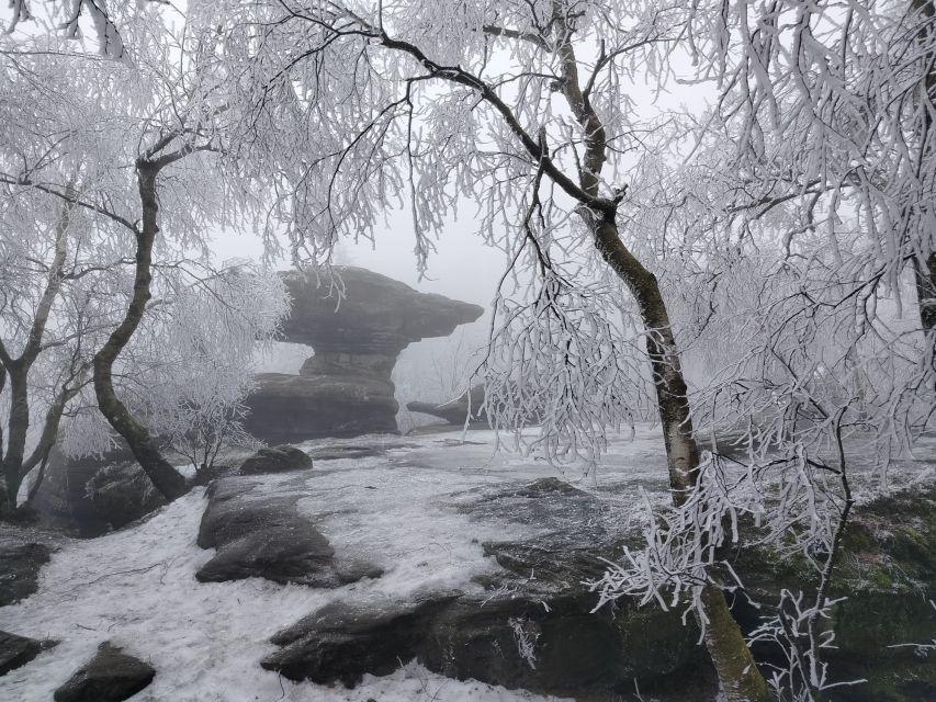 From Prague: Bohemian and Saxon Switzerland Day Trip - Good To Know