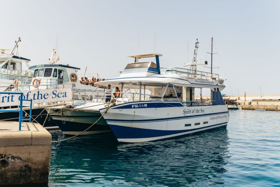 From Puerto Rico De Gran Canaria: Dolphin Watching Cruise - Good To Know