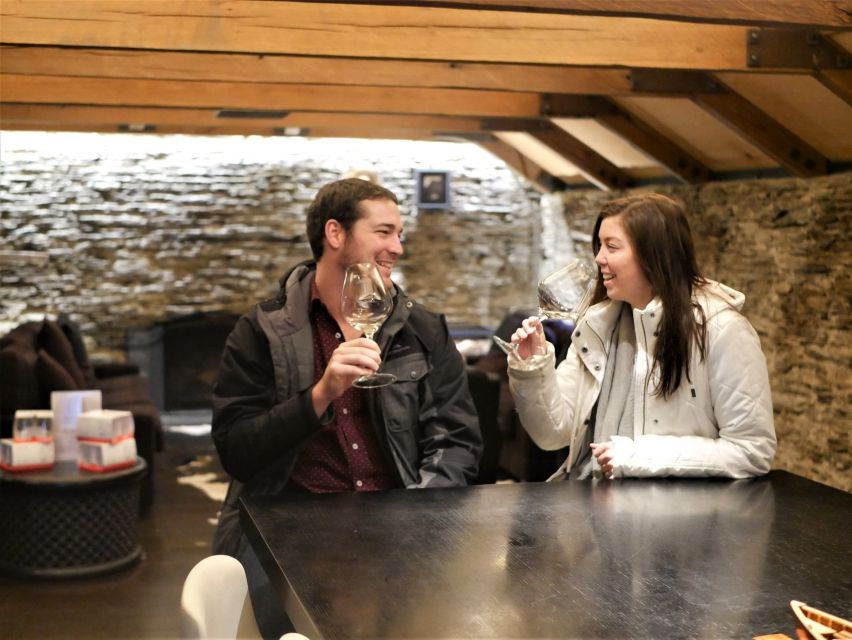 From Queenstown 4Hour Afternoon Boutique Wine Tour
