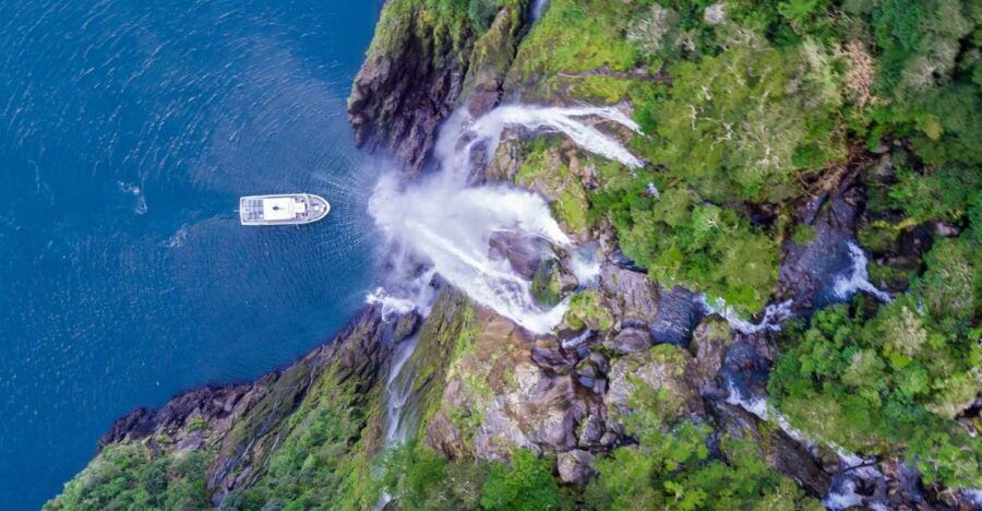 From Queenstown: Milford Sound Tour and Cruise With Lunch - Good To Know
