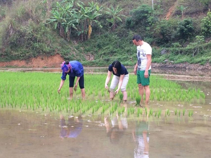 From Sa Pa: 5-Hour Muong Hoa Valley Trek and Ethnic Tribes