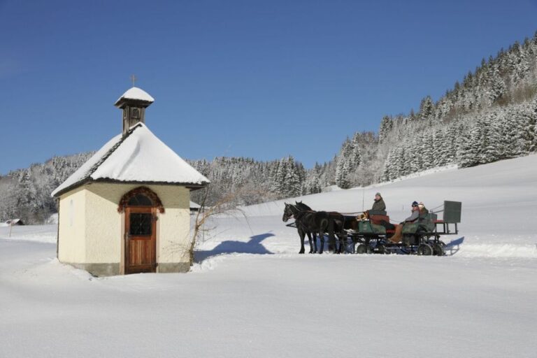 From Salzburg: 8-Hour Tour With Horse-Drawn Sleigh Ride