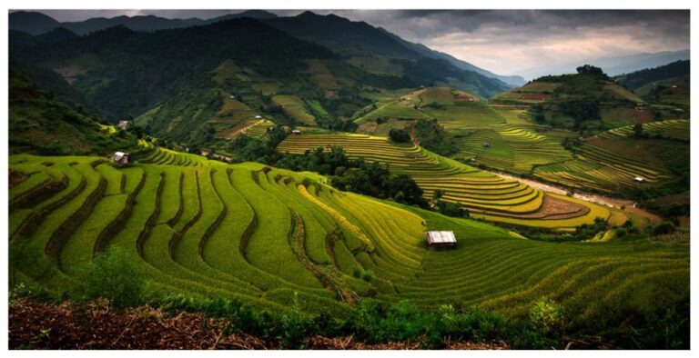From Sapa: 1 Day Trekking to Terrace Field and Local Village