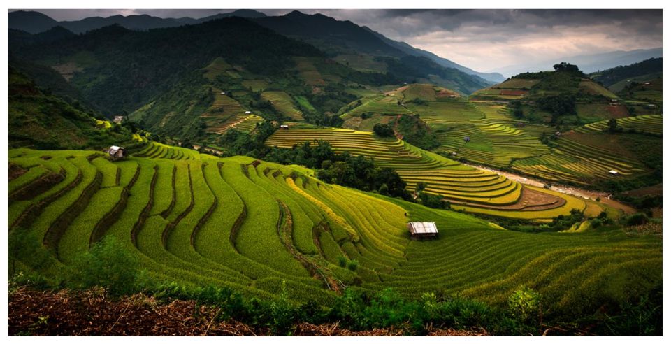 From Sapa: 1 Day Trekking to Terrace Field and Local Village - Good To Know