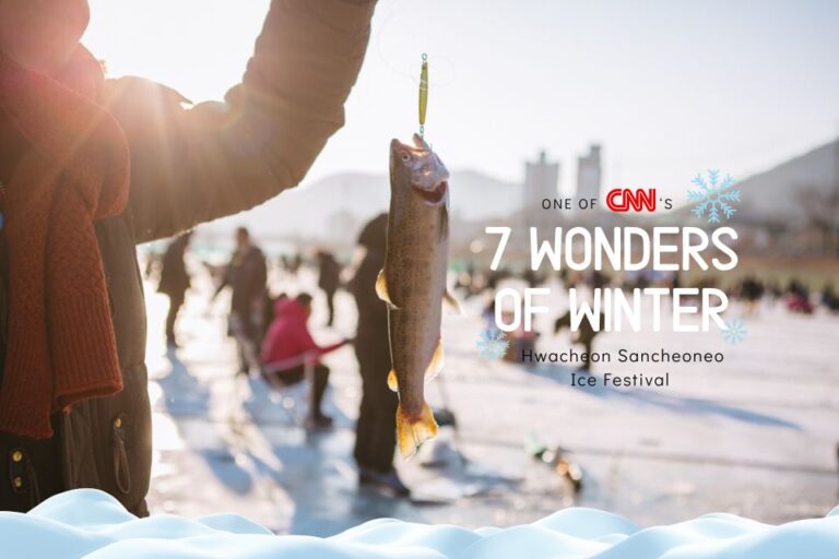 From Seoul: Hwacheon Ice Fishing and Lighting Festival