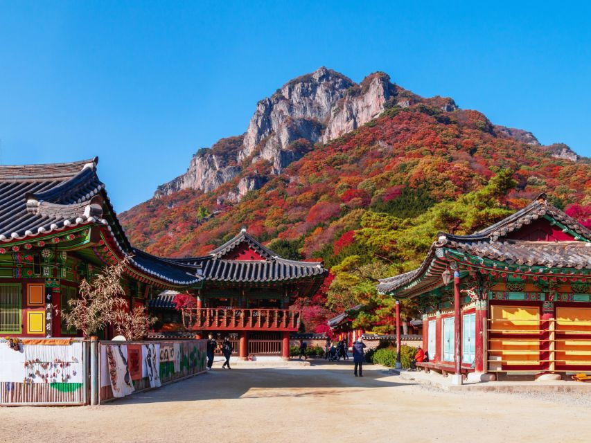 From Seoul : Naejangsan National Park Autumn Day Trip - Good To Know