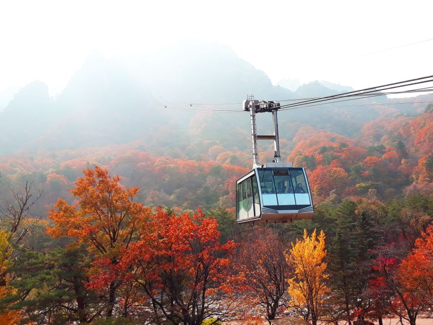 From Seoul: Seoraksan, Nami, and Garden of Morning Calm Tour