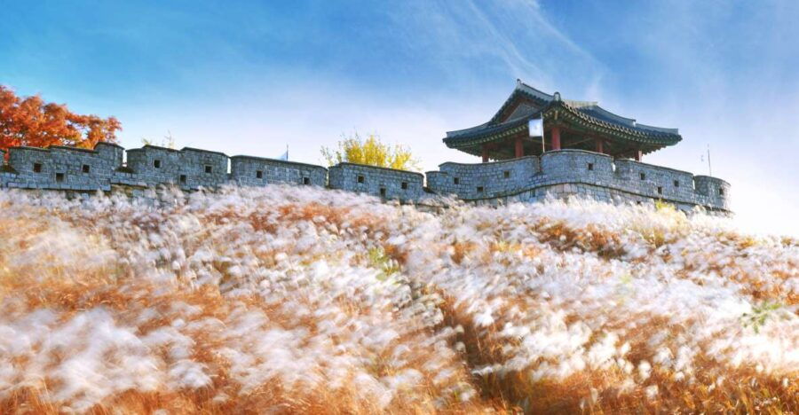 From Seoul: Suwon Hwaseong Fortress and Folk Village Tour - Good To Know