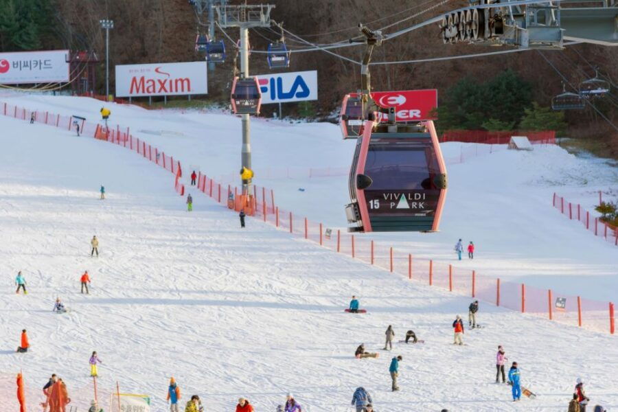 From Seoul: Vivaldi Park Ski World With Nami Island Day Tour