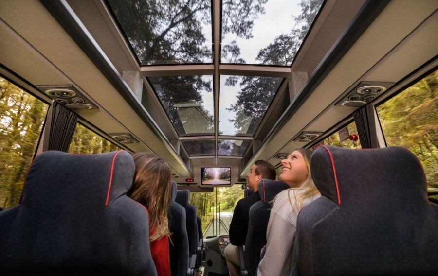 From Te Anau: 1-Day Milford Sound Coach & Cruise With Lunch - Good To Know
