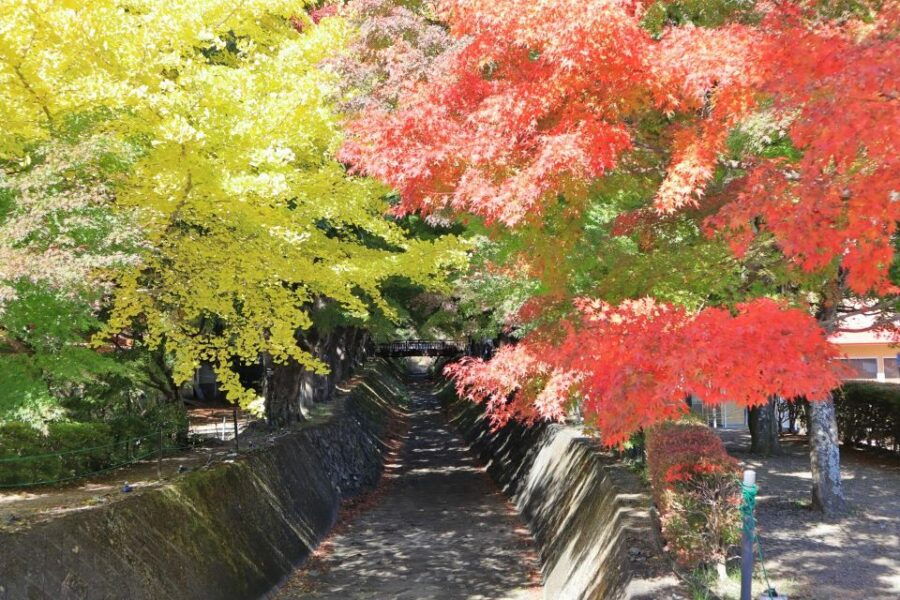 From Tokyo: Hakone, Owakudani, & Lake Kawaguchi Day Tour