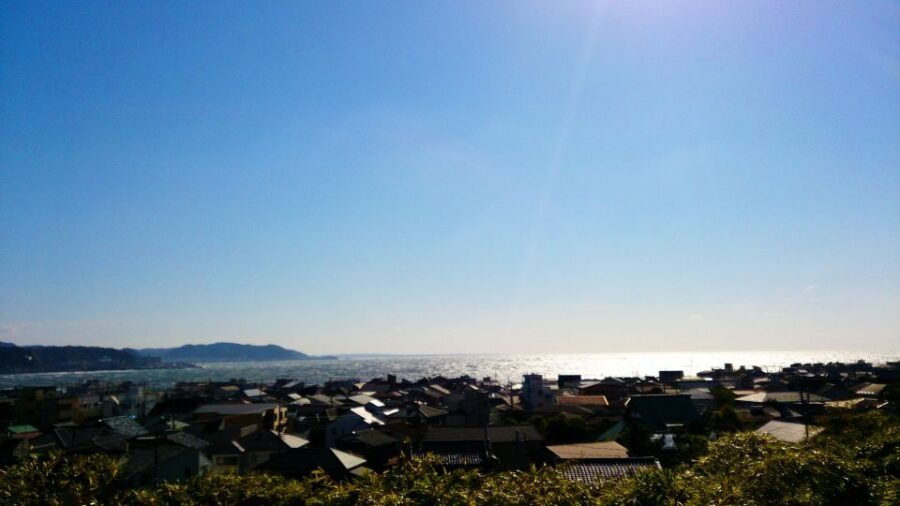 From Tokyo: Kamakura and Enoshima 1-Day Bus Tour - Good To Know